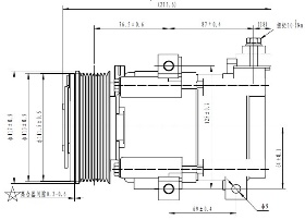 JSD11-17065